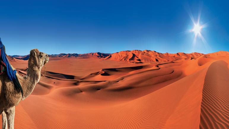 أربعون دولة تجدد تأكيد دعمها للسيادة التامة والكاملة للمغرب على صحرائه